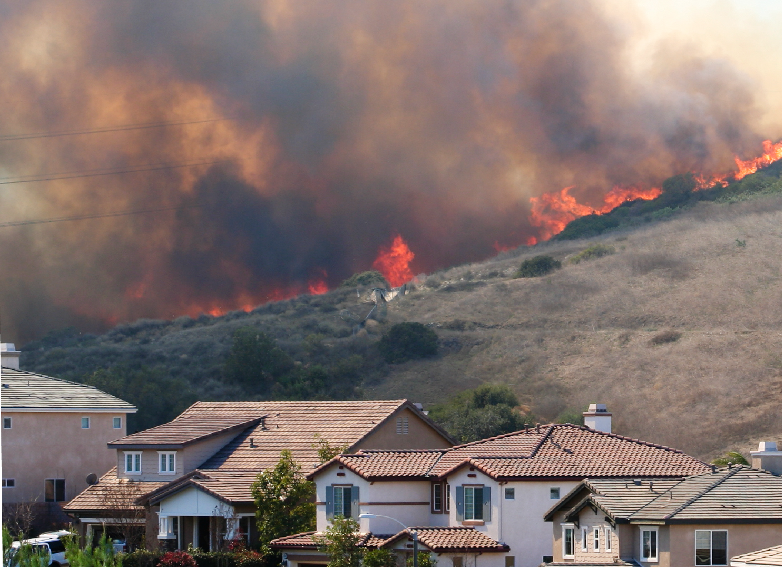 The Wildland Urban Interface