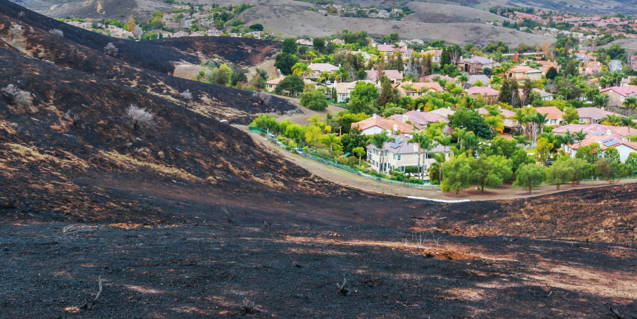 The Wildland Urban Interface (WUI)