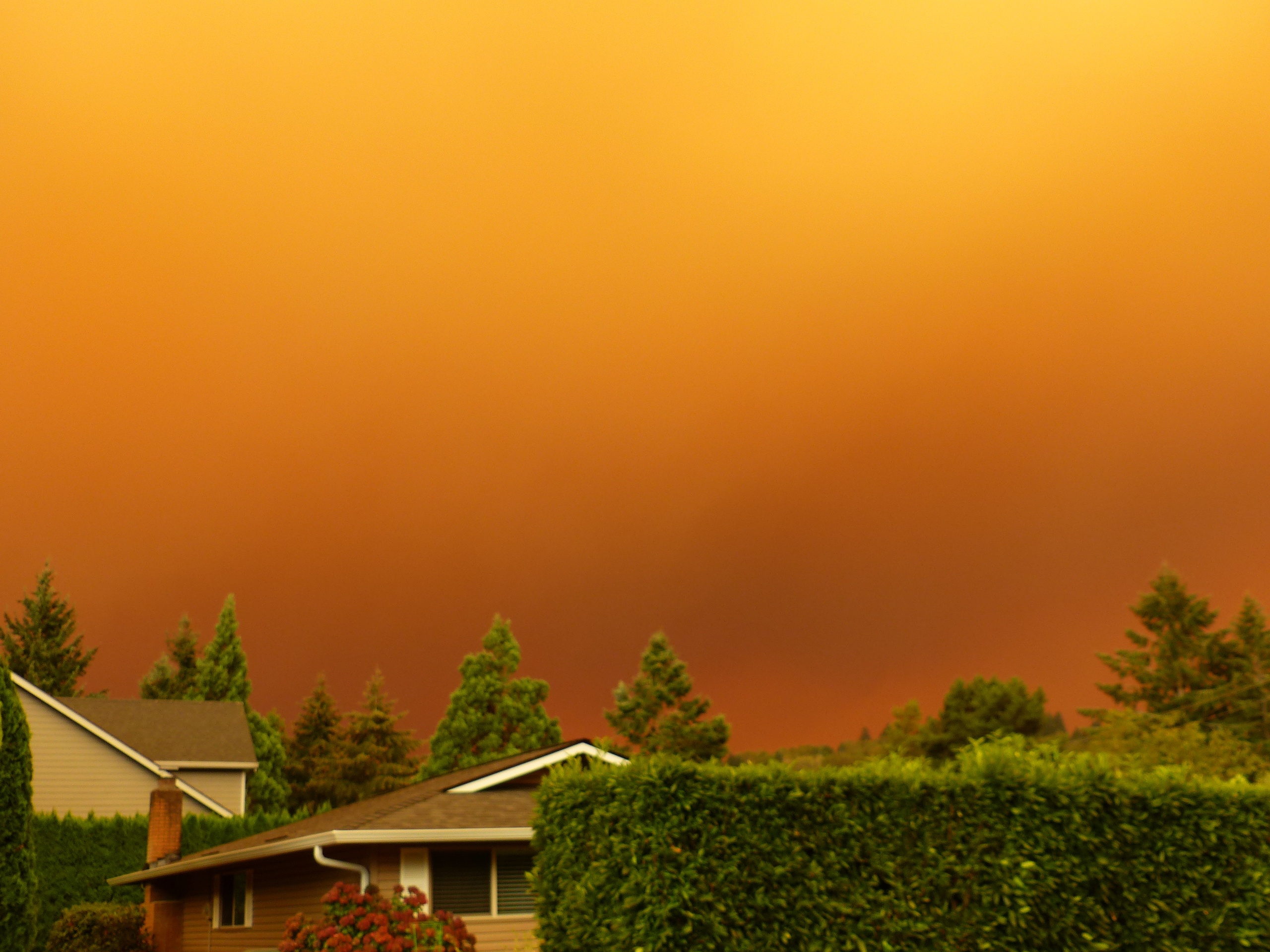 Sky filled with smoke above a community